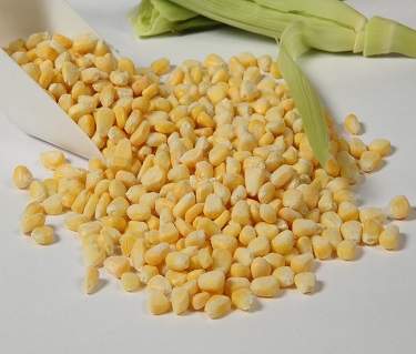 frozen sweetcorn carnels